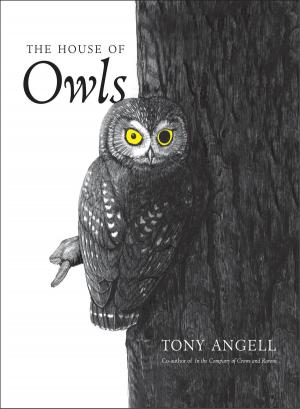 Cover of the book The House of Owls by William Monter