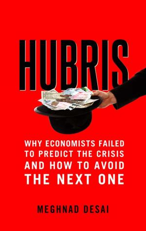 Cover of the book Hubris by Joseph Bergin