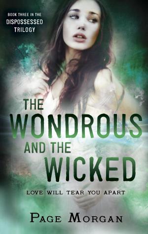 Cover of the book The Wondrous and the Wicked by Lurlene McDaniel