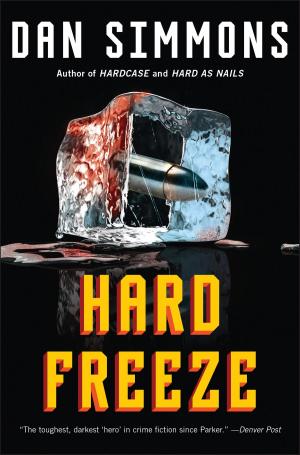Cover of the book Hard Freeze by Merrill Wyatt