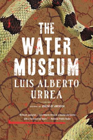 Cover of the book The Water Museum by Felicia Yap