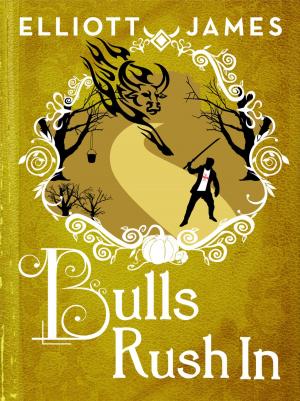 Cover of the book Bulls Rush In by Jennifer Kitt