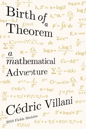 Cover of the book Birth of a Theorem by Jane Urquhart