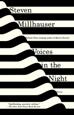 Book cover of Voices in the Night