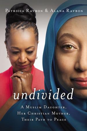 Cover of the book Undivided by Kristy Cambron