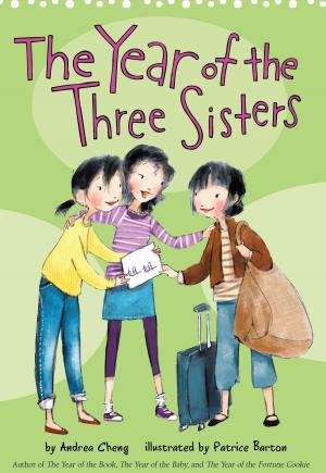 bigCover of the book The Year of the Three Sisters by 
