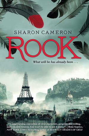 Cover of the book Rook by Randa Abdel-Fattah