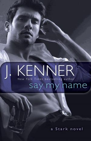 Cover of the book Say My Name by Amneris Di Cesare