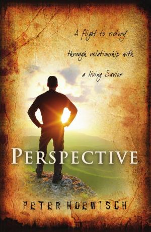 Cover of the book Perspective by James Muller, Charles Kenney