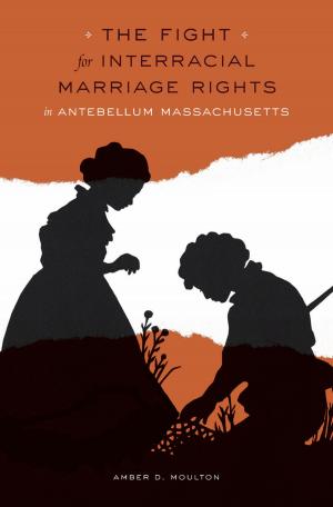 Cover of the book The Fight for Interracial Marriage Rights in Antebellum Massachusetts by Sara Lodge