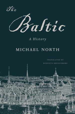 Cover of the book The Baltic by John Leigh