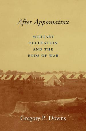 Cover of the book After Appomattox by Helen Vendler