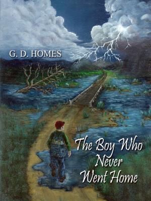 Cover of the book The Boy Who Never Went Home by Jim McCormick