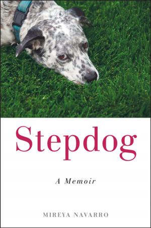 Cover of the book Stepdog by Sue Ann Jaffarian