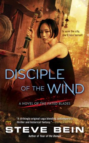 Cover of the book Disciple of the Wind by Alice Mattison