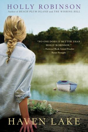 Cover of the book Haven Lake by Delphine Dryden