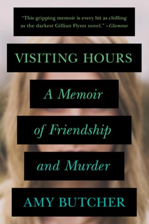 Cover of the book Visiting Hours by Wesley Ellis