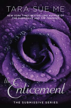 Cover of the book The Enticement by Lydia Adamson