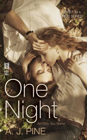 Cover of the book One Night by Michael B Jones