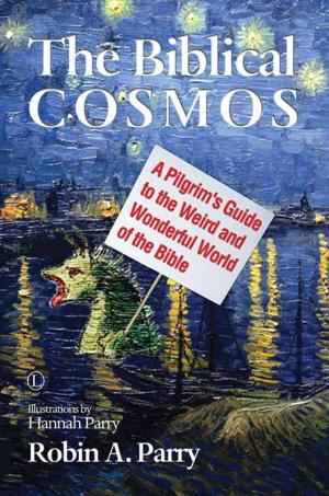 Cover of the book The Biblical Cosmos by Alan Wilkinson