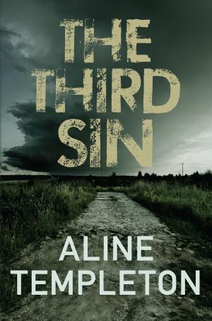 Cover of the book The Third Sin by Terin Miller