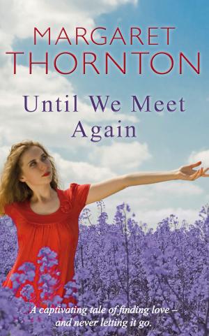Book cover of Until We Meet Again