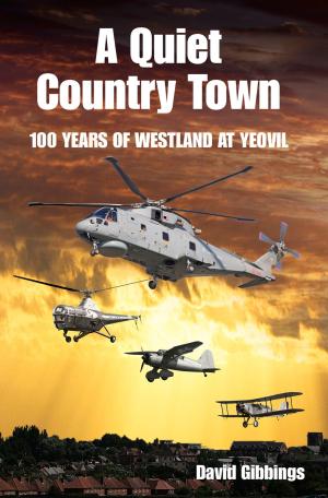Cover of the book Quiet Country Town by Raymond Clark