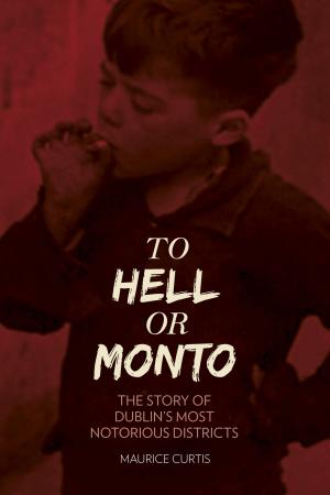 Cover of the book To Hell or Monto by Gareth Bennett, David Collins