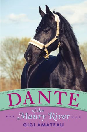 bigCover of the book Dante: Horses of the Maury River Stables by 