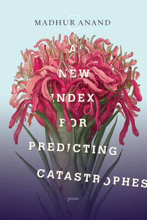 Cover of the book A New Index for Predicting Catastrophes by Rick Phillips