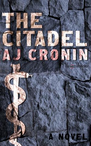 Cover of the book The Citadel by Terry Goodkind