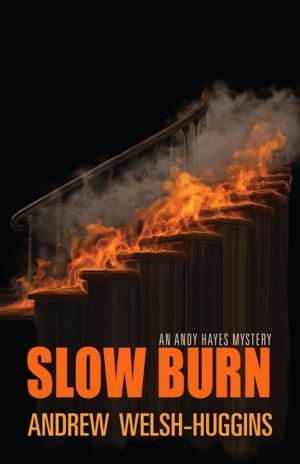 Cover of the book Slow Burn by Andrew Welsh-Huggins
