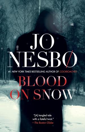 Cover of the book Blood on Snow by Tom McCarthy