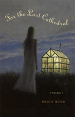 Cover of the book For the Lost Cathedral by Margaret Gibson