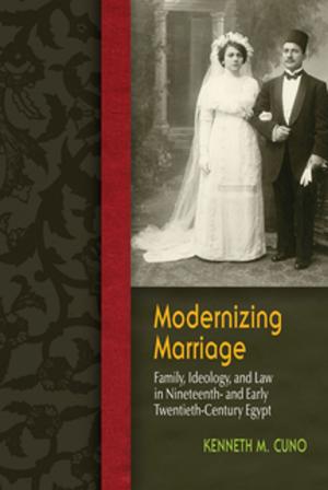 Cover of the book Modernizing Marriage by Oona Frawley