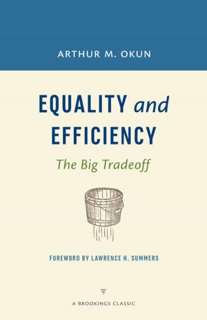 Cover of the book Equality and Efficiency by Marvin Kalb, Deborah Kalb