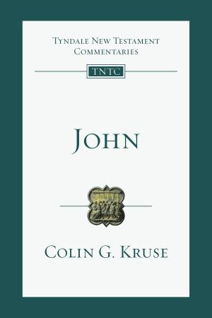 Cover of the book John by Jonathan Leeman