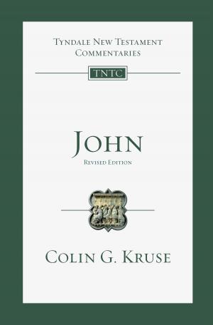 Cover of the book John by Stanton L. Jones, Richard E. Butman