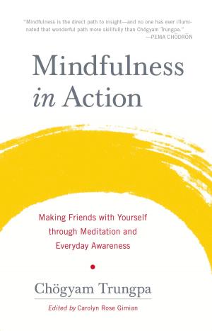 Cover of the book Mindfulness in Action by Khenpo Tsultrim Gyamtso