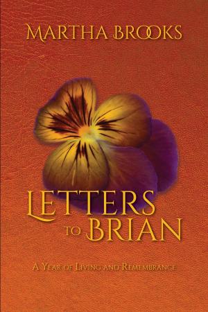 Cover of the book Letters to Brian by RJ Parker, Ph.D