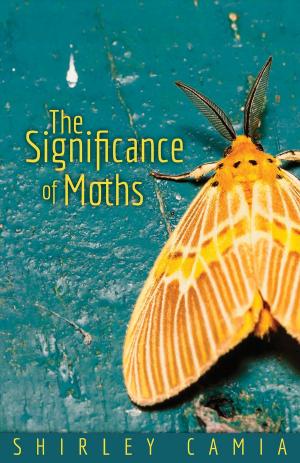 Cover of the book The Significance of Moths by Wayne Tefs