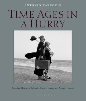 Book cover of Time Ages in a Hurry