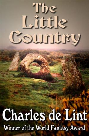 Cover of the book The Little Country by Krystal Shannan, Camryn Rhys