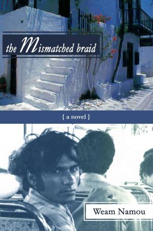 bigCover of the book The Mismatched Braid by 