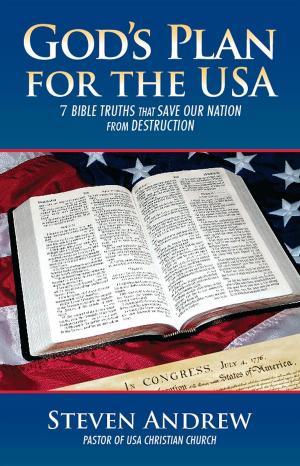 bigCover of the book God's Plan for the USA by 