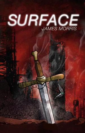 Cover of the book Surface by John Connolly, Jennifer Ridyard