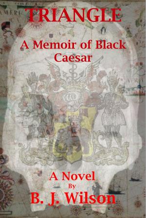 Cover of the book Triangle: A Memoir of Black Caesar by Morris Fairview