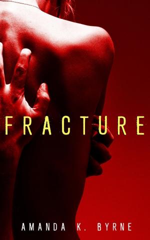 Cover of the book Fracture by Tamara Morgan