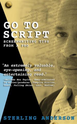 Cover of the book Go To Script by Alessandro Chiesurin
