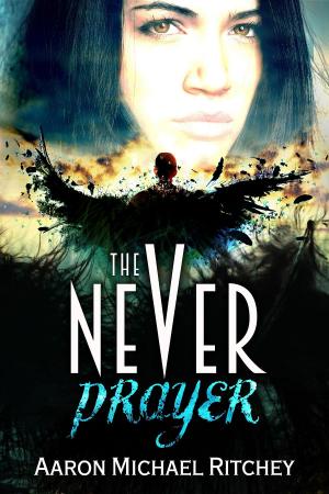Book cover of The Never Prayer